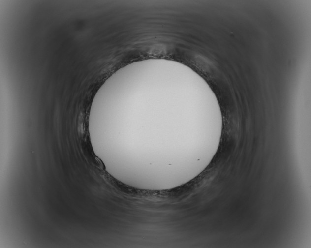X0000082930962200703020102