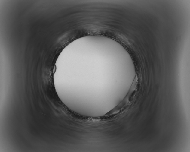 X0000082930964200703020102