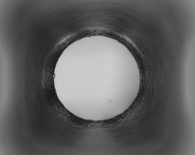 X0000082930967200703020102