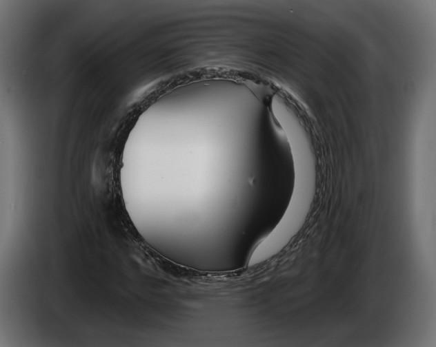 X0000082930968200703020102