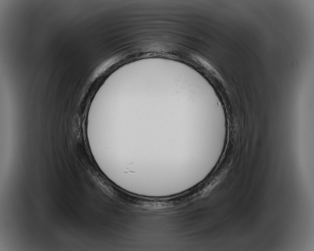 X0000082930970200703020102