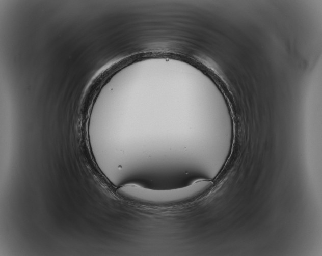 X0000082930971200703020102