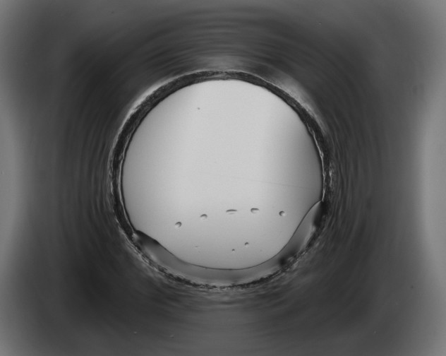 X0000082930972200703020102