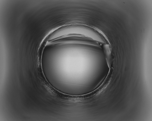 X0000082930973200703020102