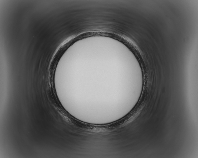 X0000082930974200703020102