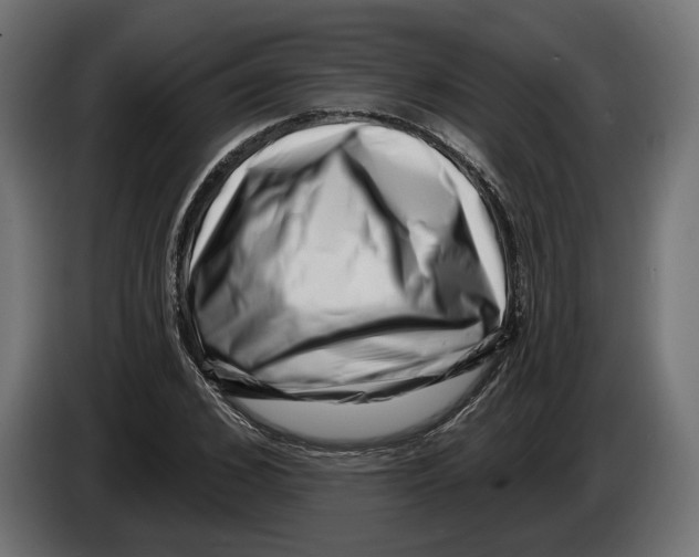 X0000082930976200703020102