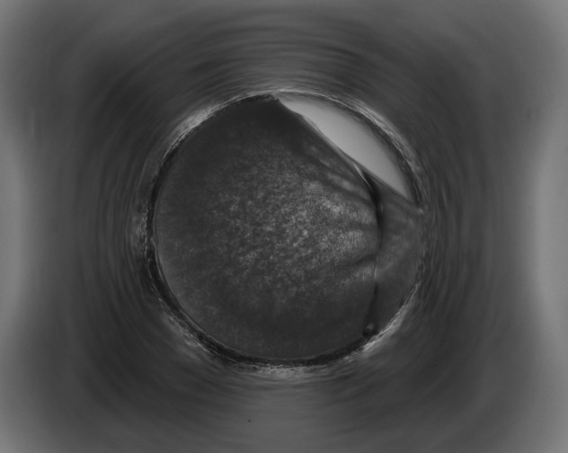 X0000082930977200703020102