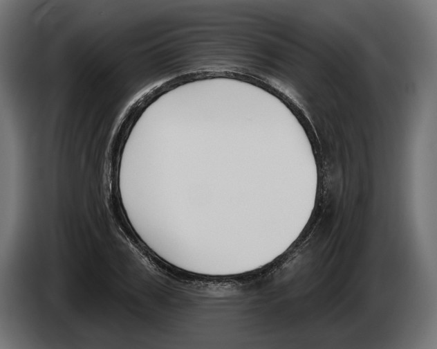 X0000082930979200703020102