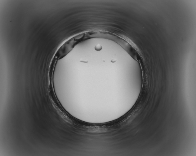 X0000082930980200703020102