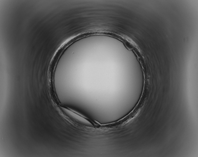 X0000082930981200703020101