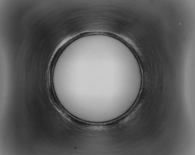 X0000082930982200703020101