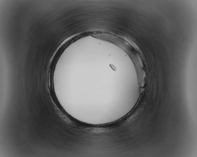 X0000082930984200703020101