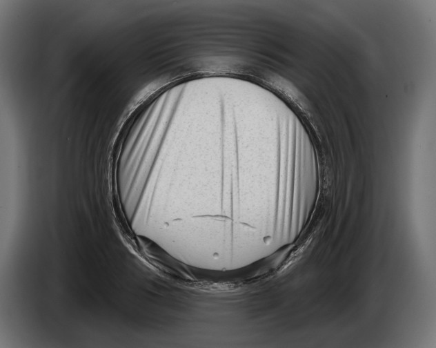 X0000082930986200703020101