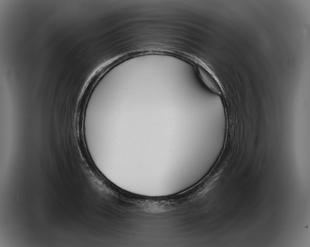 X0000082930987200703020101
