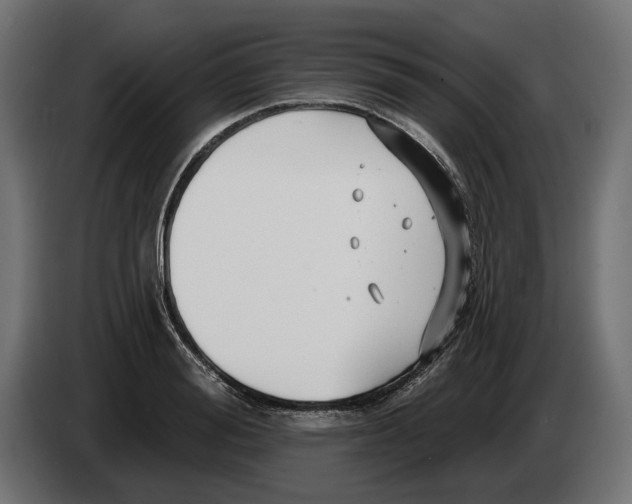 X0000082930988200703020101