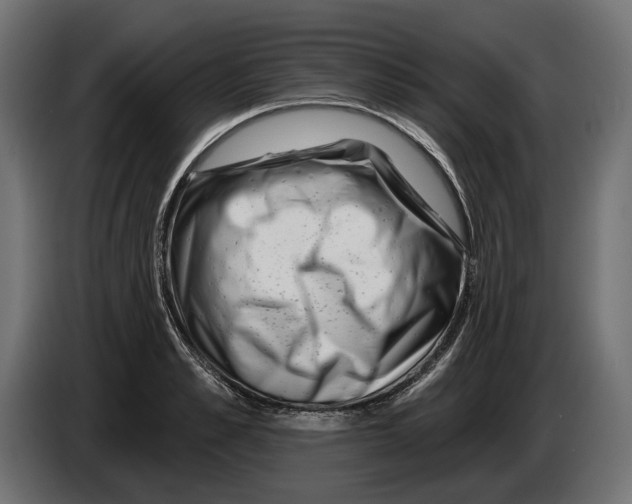 X0000082930989200703020101