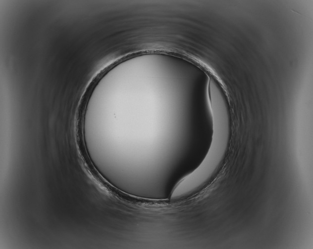 X0000082930991200703020101