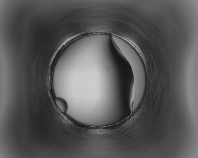 X0000082930992200703020101