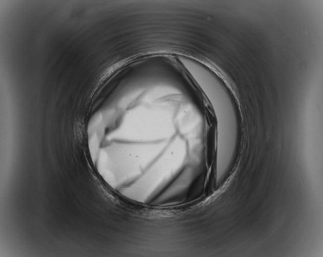 X0000082930993200703020101