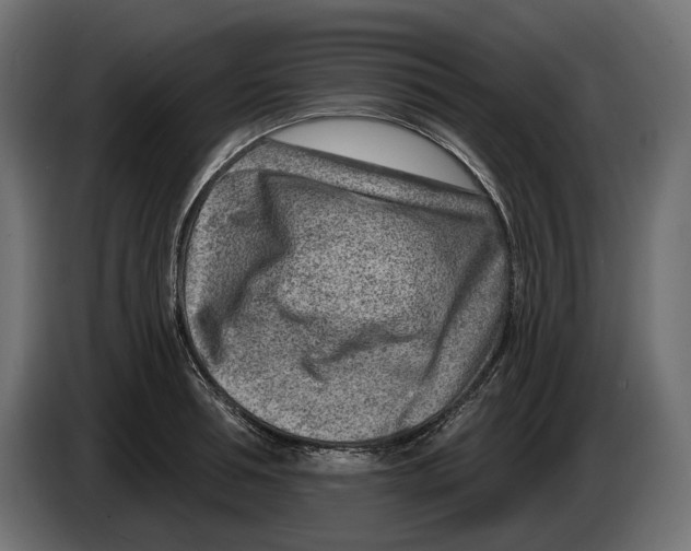 X0000082930994200703020101