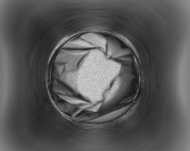 X0000082930997200703020101