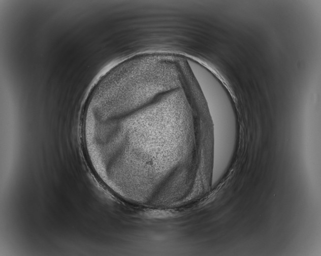 X0000082930998200703020101