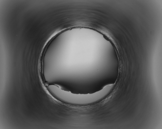 X0000082930999200703020101