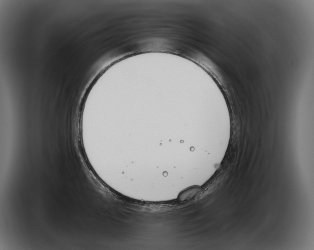 X0000082931000200703020101