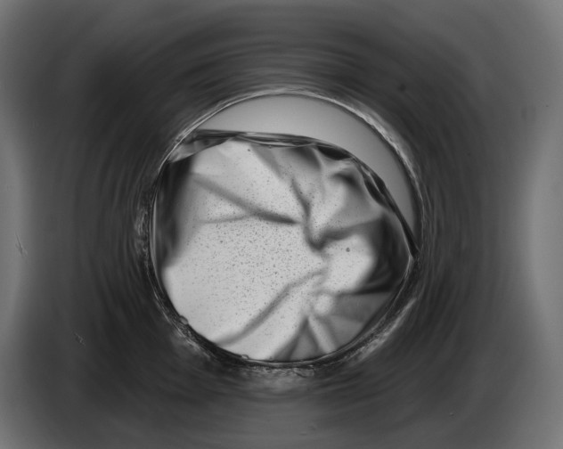 X0000082931001200703020101
