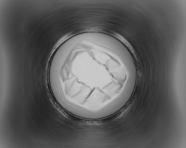 X0000082931002200703020101