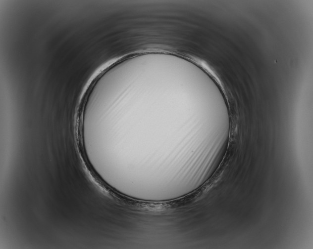 X0000082931003200703020101
