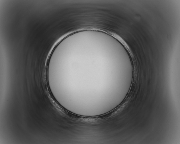 X0000082931004200703020101