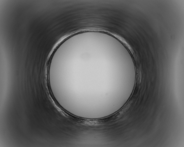 X0000082931006200703020101