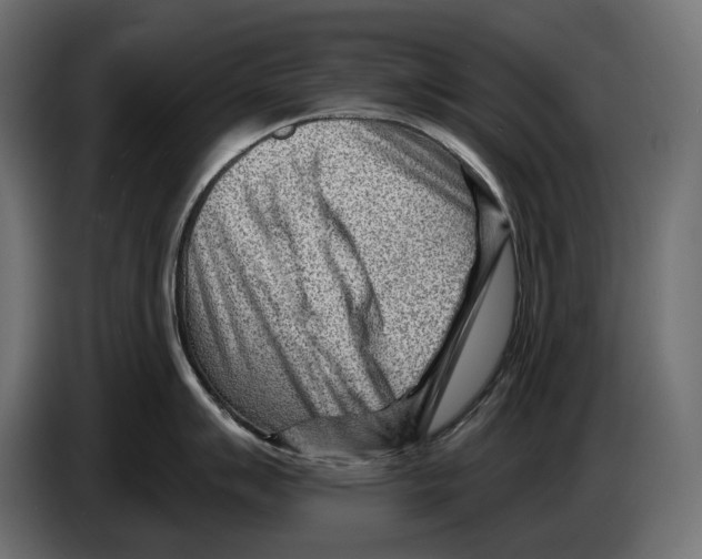 X0000082931007200703020101