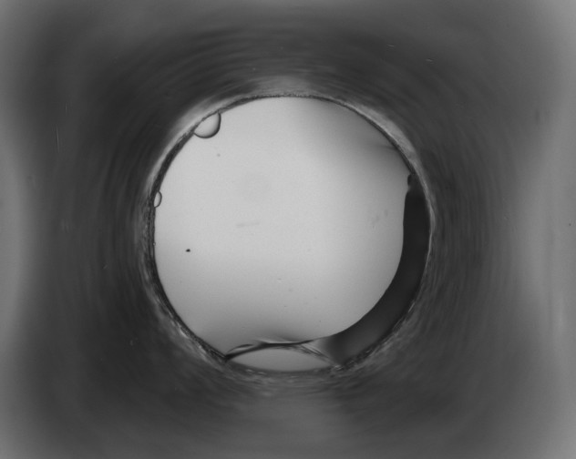 X0000082931008200703020101