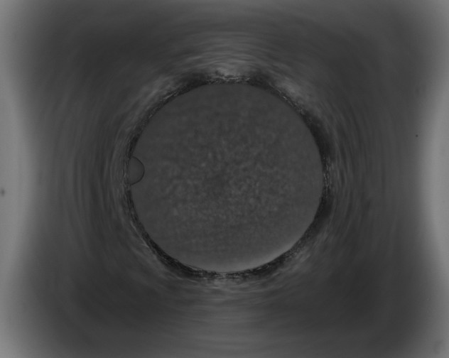 X0000082931009200703020100