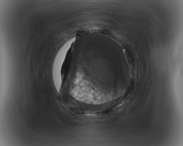 X0000082931010200703020100