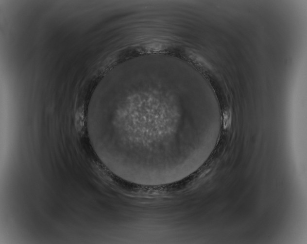 X0000082931011200703020100