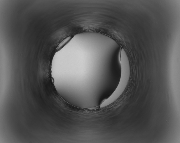 X0000082931012200703020100