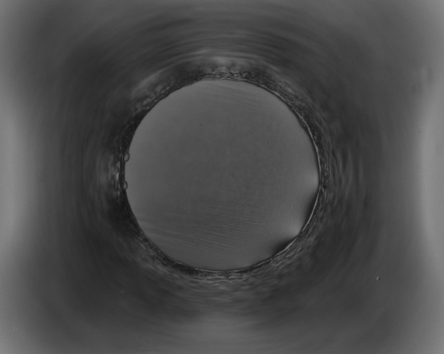 X0000082931013200703020100