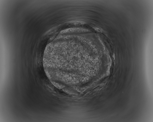 X0000082931014200703020100