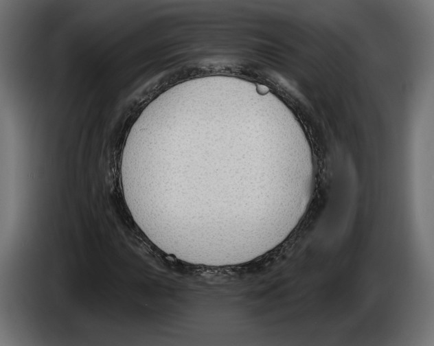 X0000082931015200703020101