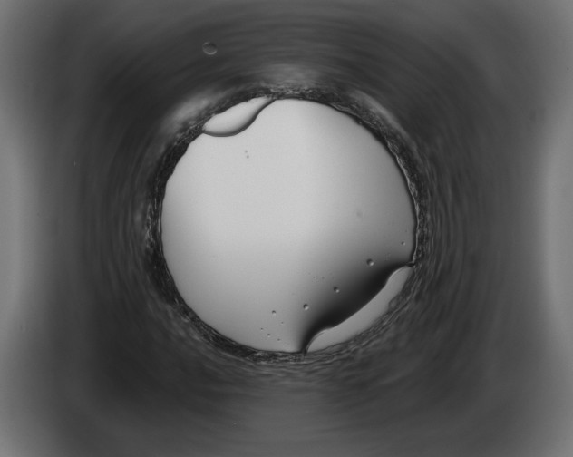 X0000082931016200703020101