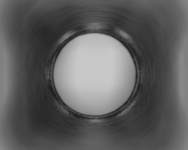 X0000082931017200703020101
