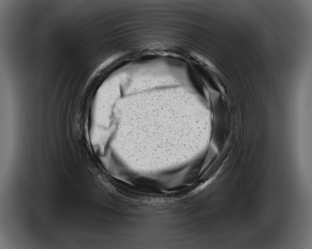 X0000082931018200703020101