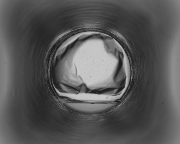 X0000082931019200703020101