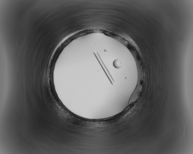 X0000082931020200703020101