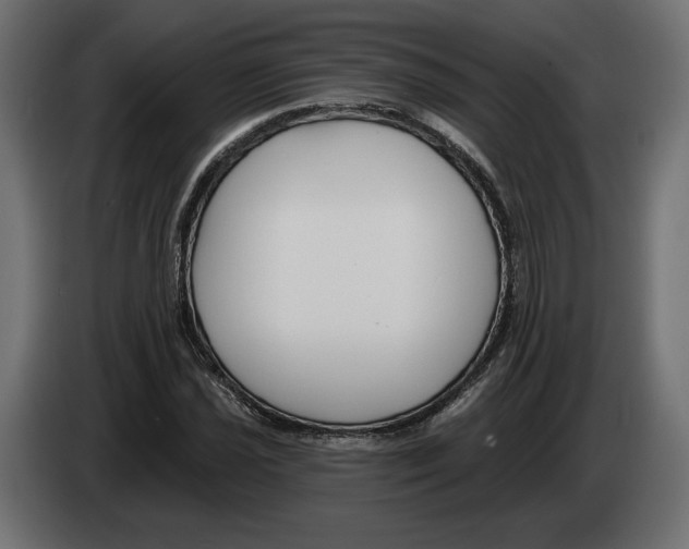 X0000082931021200703020101