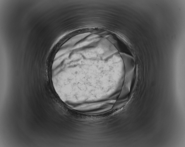 X0000082931022200703020101