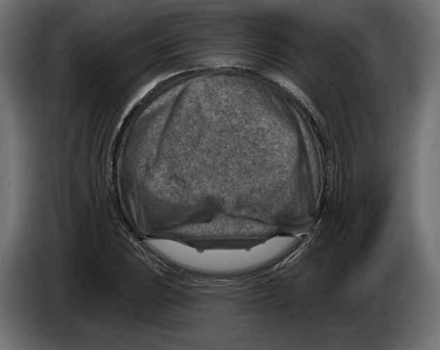 X0000082931023200703020101
